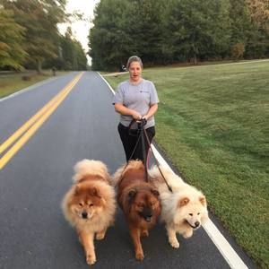 Meet your Posher, Shawn